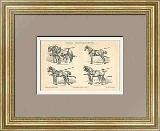 Антикварная гравюра "Сбруя"