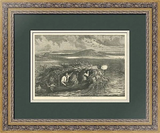 "Стрельба по уткам в Чесапикском заливе" - антикварная гравюра