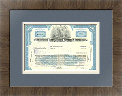 Акция Royal Dutch Petroleum Company (нефтяная компания)