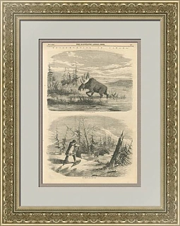 "Охота на лося" -  оригинальная английская гравюра - антикварный экземпляр