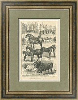 "Выставка сельскохозяйственного общества" - антикварная гравюра