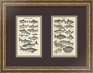 Антикварные гравюры "Искусственное рыбоводство и рыбалка в пруду"