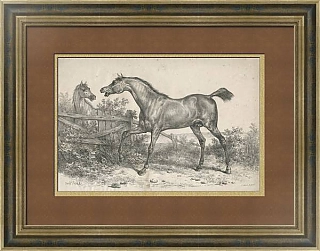 Редкая антикварная литография из серии "Большая свита лошадей"