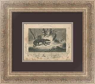 "Волки" - антикварная оригинальная гравюра