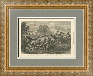 "Охота на антилопу" - антикварный экземпляр гравюры