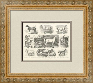 "Сельское хозяйство" - Антикварная немецкая гравюра