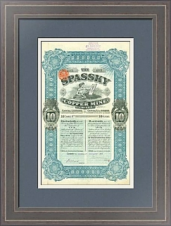Десять Акций Spassky Copper Mine Limited
