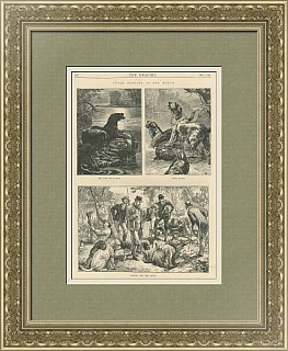 "Охота на выдру" - оригинальная антикварная гравюра