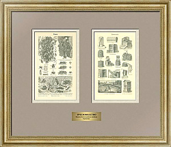 Антикварные гравюры "Пчеловодство"