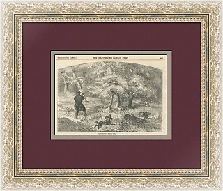 "Охота на тетеревов в Новой Шотландии" - оригинальная антикварная гравюра