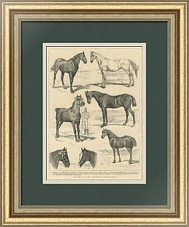 "Зарисовки на Ислингтонской конной выставке" - антикварная гравюра