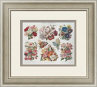 Антикварная хромолитография "Садовые растения"