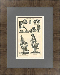 "Микроскопы" - антикварная немецкая гравюра