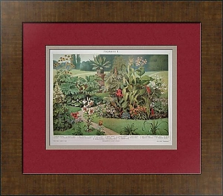 Антикварная хромолитография "Декоративные растения"