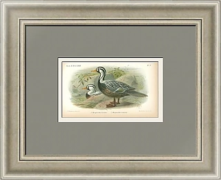 Антикварная хромолитография "Утки"