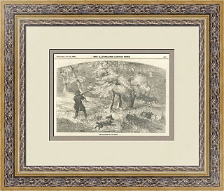 Редкая антикварная гравюра "Охота на тетеревов в Новой Шотландии"