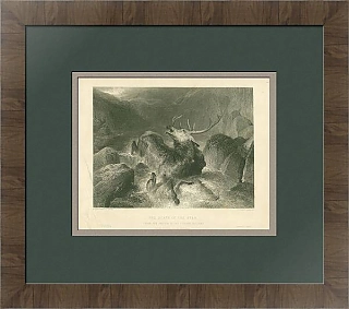 Антикварная гравюра "Смерть оленя"