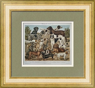 Антикварная хромолитография "Собаки"