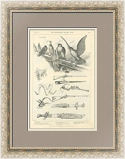 "Экспонаты охотников. Выставка в Лондоне" - антикварная гравюра