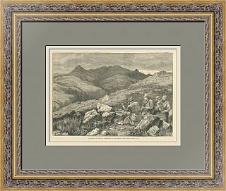 "Охота на оленей" - редкая английская гравюра