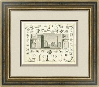 Антикварная гравюра "Пропорции"