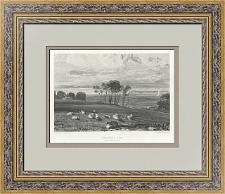 "Залив Певенси из Кроухерст-парка" - антикварная гравюра