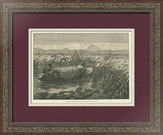 Антикварная гравюра "Охота на водоплавающих птиц"