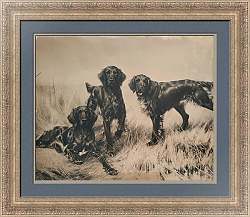 Антикварная фотогравюра "Сеттеры" - эксклюзивный подарок