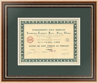 Акция французской компании по производству электротехники