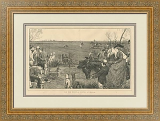 Редкая антикварная гравюра "Собачье дерби"