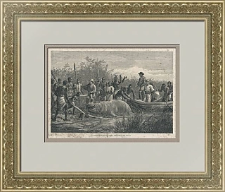 "Охота на бегемотов в Анголе" - редкая антикварная гравюра