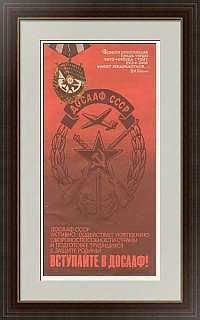 "Вступайте в ДОСААФ!" - оригинальный агитационный плакат