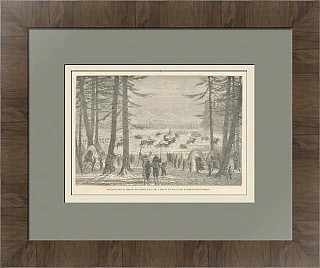 "Охота на северных оленей" - антикварная гравюра