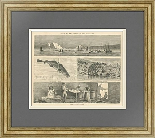 Антикварная гравюра "Ньюфаундленд. Промысел трески"