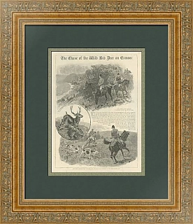 "Погоня за диким оленем" - антикварная страница газеты "The Graphic" - 1889