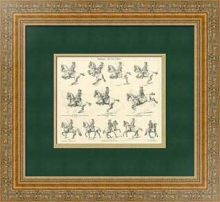 "Искусство верховой езды" - антикварная гравюра - вип подарок