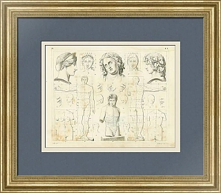 Антикварная гравюра "Пропорции тела и лица человека"