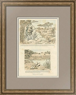 "Охота в Южной Африке" - старинная гравюра - "The Graphic" - 1891