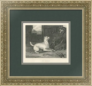 "Злоумышленник" - редкая антикварная гравюра