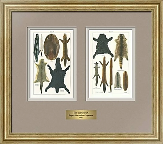 Антикварные хромолитографии "Пушнина"