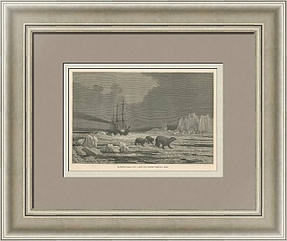 "Преследование медведя" - антикварная гравюра