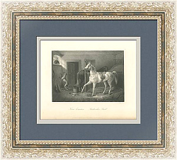 "Городская конюшня" - антикварная гравюра