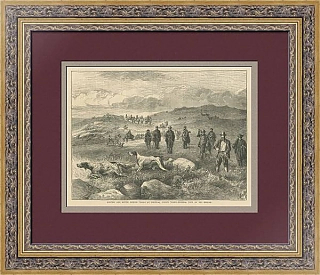 "Охота на куропаток с собаками" - антикварная гравюра - вип подарок