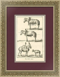 Антикварная редкая гравюра "Сбруя, седла, упряжь"