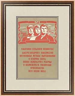Редкий агитационный плакат "Внедряйте интенсивные методы выращивания"