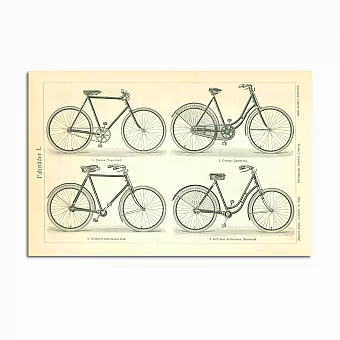 Антикварная гравюра "Велосипеды". Дополнительное изображение