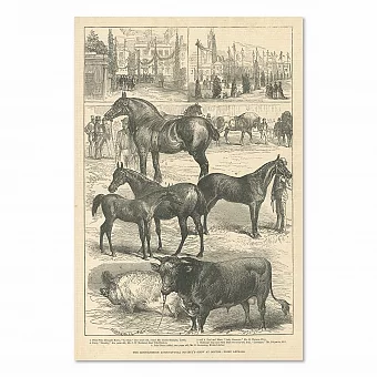 "Выставка сельскохозяйственного общества" - антикварная гравюра. Дополнительное изображение