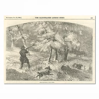 Редкая антикварная гравюра "Охота на тетеревов в Новой Шотландии". Дополнительное изображение