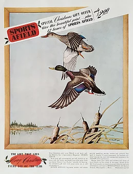 Оригинальная рекламная иллюстрация, США. Журнал Sport afield. Дополнительное изображение