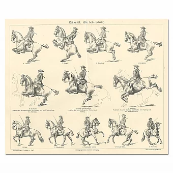"Искусство верховой езды" - антикварная гравюра - вип подарок. Дополнительное изображение